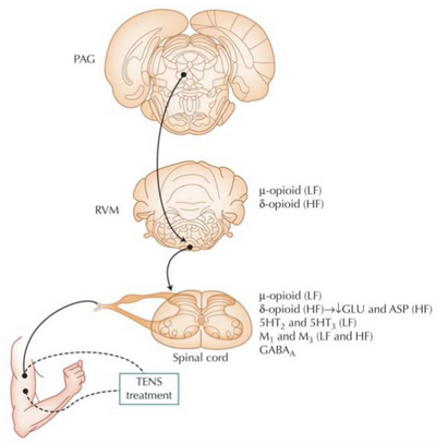 Pathways to Pain Relief!